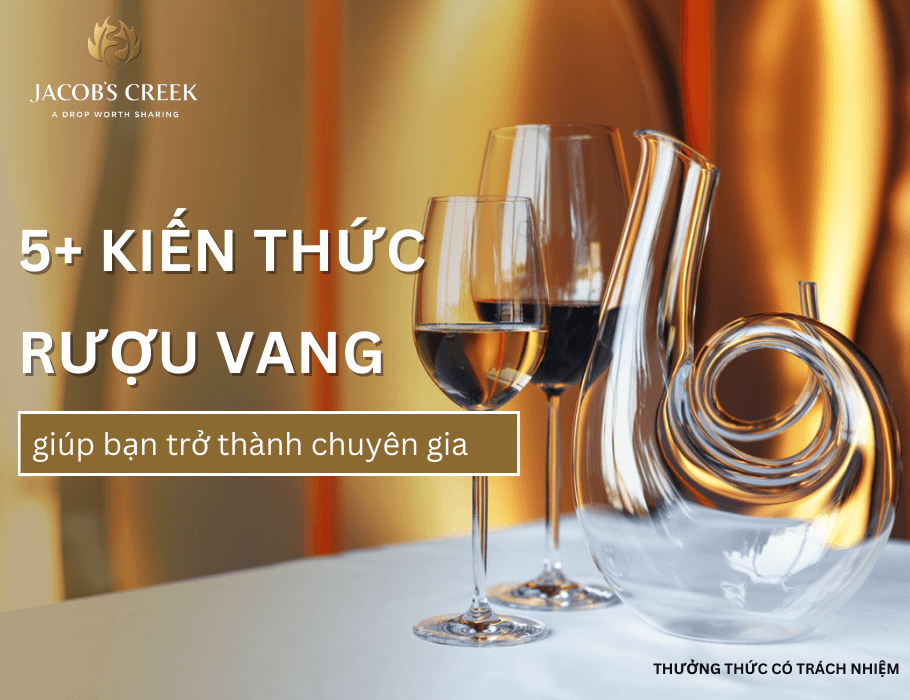 5+ kiến thức về rượu vang cho người mới bắt đầu giúp bạn thành chuyên gia