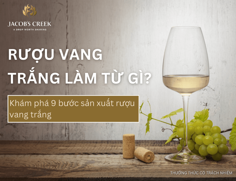 Rượu vang trắng làm từ gì? Khám phá 9 bước sản xuất rượu vang trắng