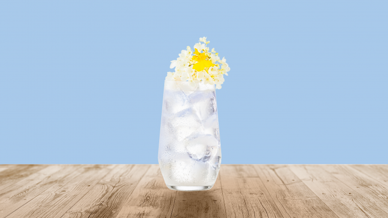 Elderflower Bloom