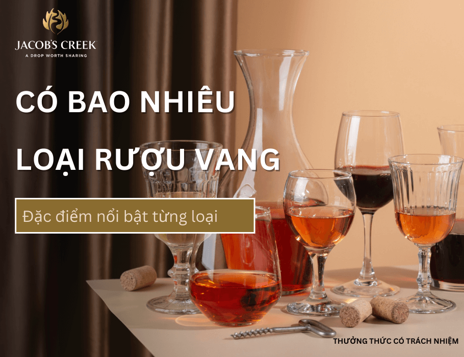 Có bao nhiêu loại rượu vang? Đặc điểm nổi bật của từng loại