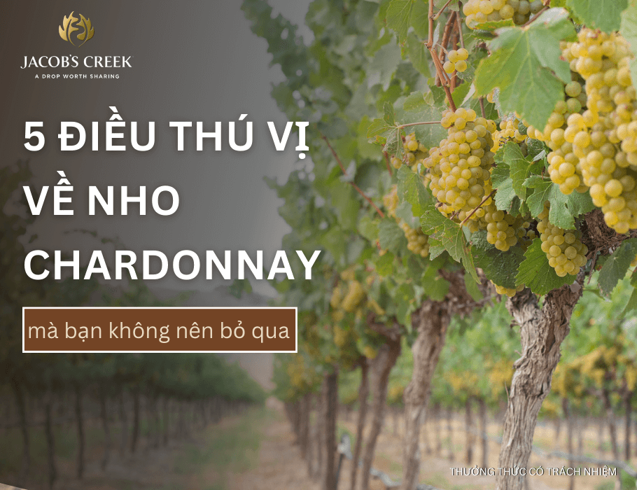 Nho Chardonnay là gì? 5 điều thú vị về “nữ hoàng” của các giống nho trắng