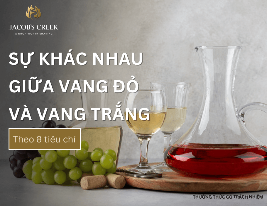 Sự khác nhau giữa vang đỏ và vang trắng theo 8 tiêu chí