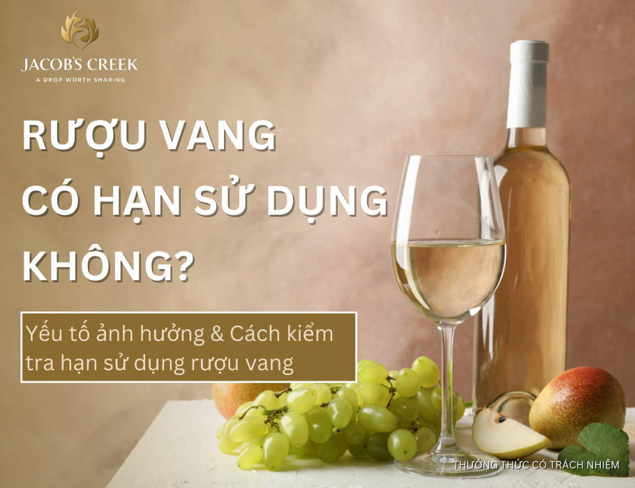 Rượu vang có hạn sử dụng không? Cách kiểm tra hạn dùng rượu vang trước và sau khi khui
