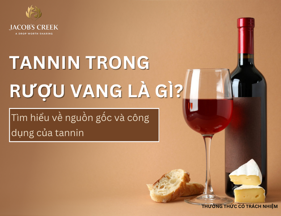 Tannin trong rượu vang là gì? Tìm hiểu về nguồn gốc và công dụng của tannin